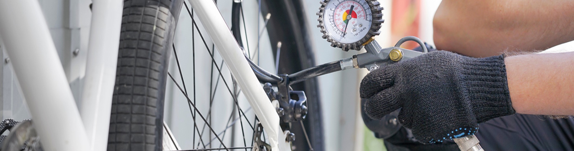 EBike Gallery