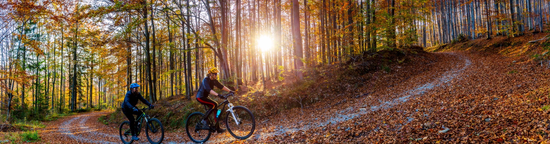 EBike Gallery