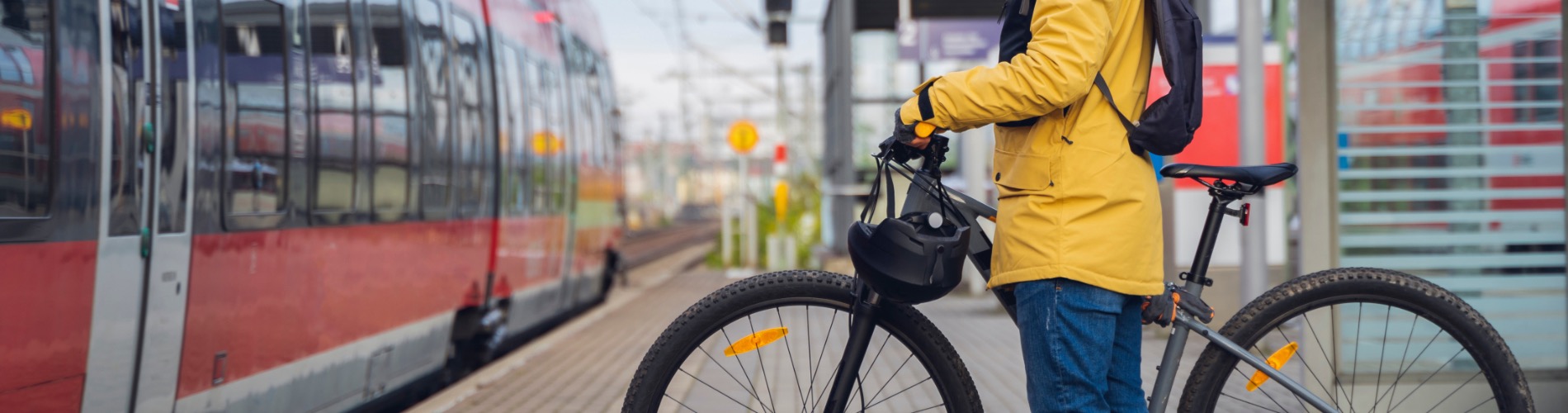 EBike Gallery