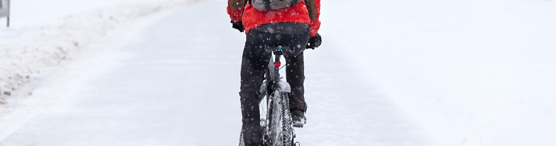 EBike Gallery