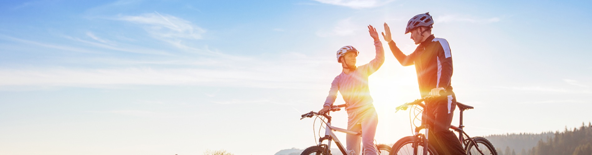 EBike Gallery