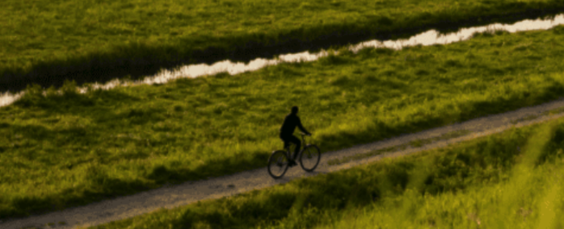 EBike Gallery