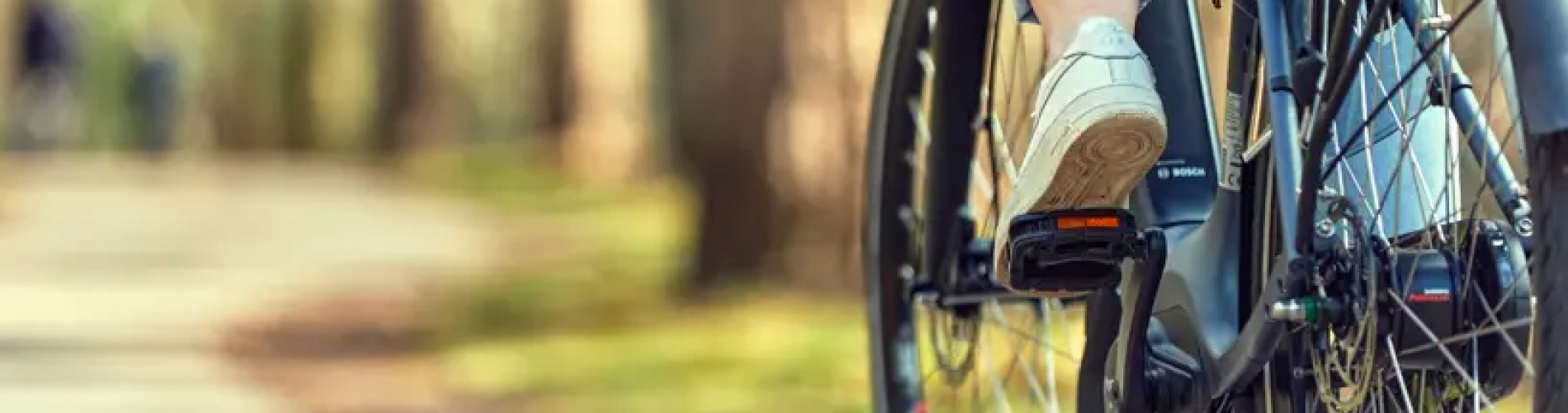 EBike Gallery