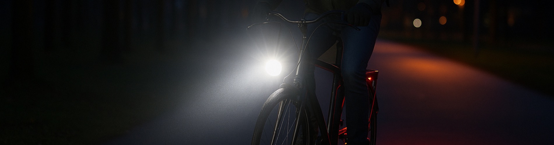 EBike Gallery