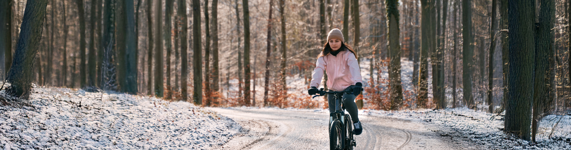 EBike Gallery