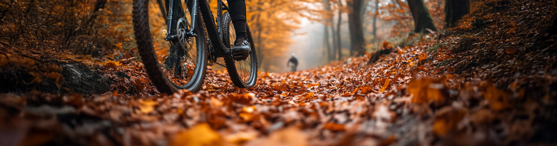 EBike Gallery