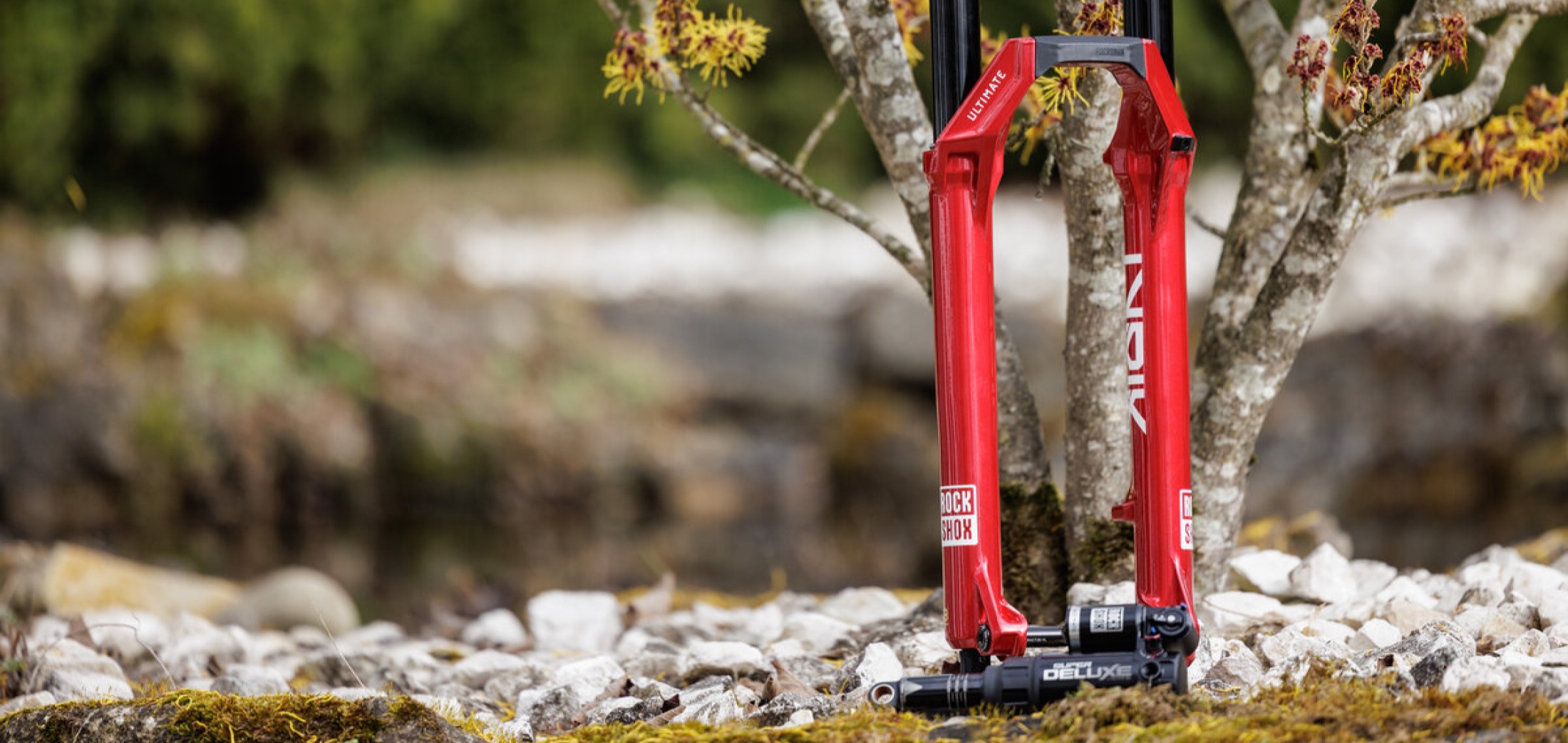 EBike Gallery